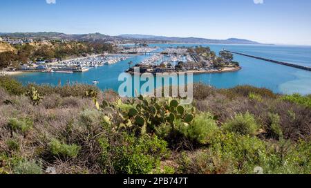 Aussichtspunkt von der Dana Point Headlands Conservation Area mit Dana Point Yacht Club, Hafen und Yachthafen mit Segelbooten und Yachten entlang der Küste Stockfoto