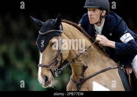 DEN BOSCH - Henrik von Eckermann (SWE) auf König Edward in Aktion während der Weltmeisterschafts-Show Springen, während der Dutch Masters Indoor Brabant Horse Show. ANP SANDER KONING niederlande raus - belgien raus Stockfoto