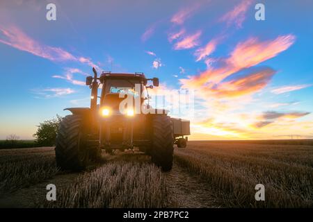 Traktor auf geerntetem Getreidefeld in der Dämmerung Stockfoto
