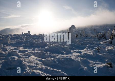 Berg Śnieżka, Karpacz, Karkonosze (Riesengebirge), Sudeten, Niederschlesien, Polen, Februar 2023 Stockfoto