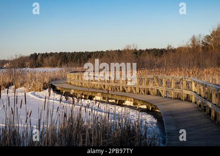 Sentier du Marécage au Centre D'Interprétation de la Nature du lac Boivin Granby Québec Stockfoto