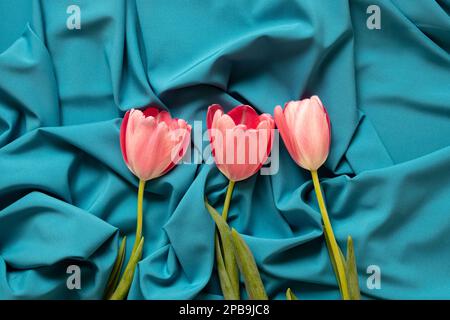 Drei rosa Tulpen liegen auf einem blauen Stoff, dicht dran, Blumen Stockfoto