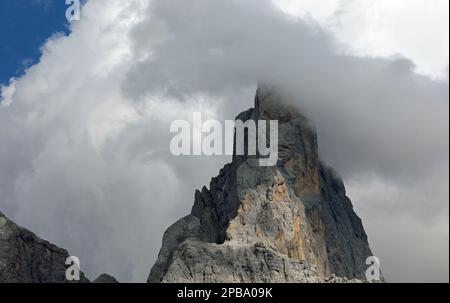 Wolken bedecken den Gipfel der Dolomiten namens CIMON DELLA PALA in Norditalien Stockfoto