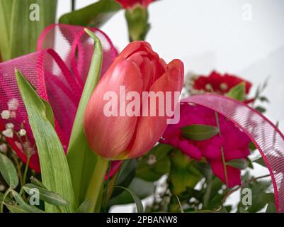 Blumenstrauß mit Rosen, Tulpen, Nelken, Alstroemeria Stockfoto