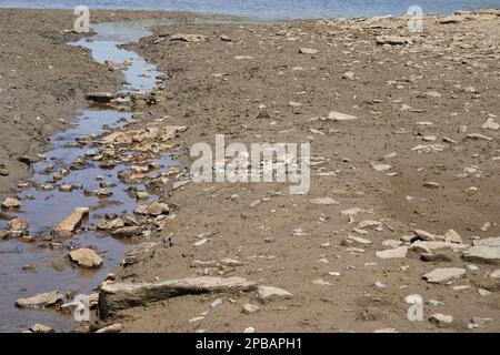 Nebenfluss eines Sees auf dem getrockneten Boden des Bodens. Ein Zeichen von Wasserknappheit, das den Wasserkörper schwächt. Stockfoto