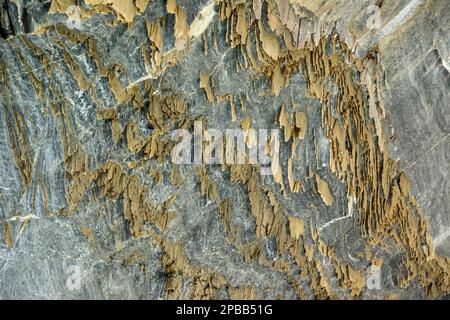 Nahaufnahme einiger tellerartiger Einschlüsse im erodierten Marmor der Marmorhöhlen, Lago General Carrera, Patagonien Stockfoto