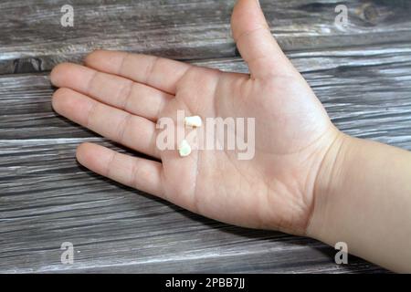 Milchgeburtszähne temporärer Säuglingszähne, die ersten Zähne im Wachstum und in der Entwicklung des Menschen, sie gehen normalerweise verloren und werden durch Permanen ersetzt Stockfoto