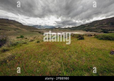 Valle Chacabuco über Estero Portezuelo mit Sturmwolken und Frühlingsblumen, Patagonien Stockfoto