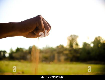 Eine Handfaust, die Dreck wirft Stockfoto