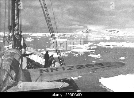 Der Polarstern ist am Bug von HMAS Wyatt Earp zu sehen, während die Besatzung auf der Suche nach einem Startfeld entlang des antarktischen Archipelego von 1948 ist. Beachten Sie das einmotorige Vought-Sikorsky Kingfisher Wasserflugzeug an Deck. Stockfoto