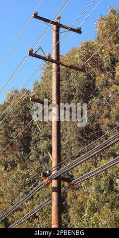 Hochspannungsleitungen an einem Telefonmast in Kalifornien Stockfoto