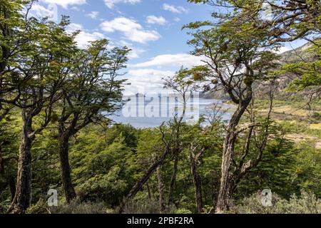 Der Beginn des Beagle-Kanals im Nationalpark Tierra del Fuego in den Anden von Patagonien in der Nähe von Ushuaia Argentina an der Grenze zu Chil Stockfoto