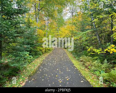 Zugänglicher Wanderweg durch den Parkwald im Norden von Minnesota nahe der kanadischen Grenze bei Grand Portage Stockfoto