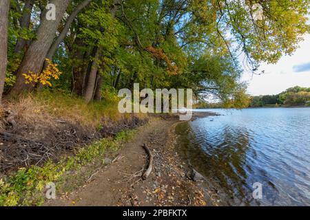 Herbstfarben auf dem Mississippi bei Minneapolis zeigen die Auswirkungen des Klimawandels auf niedrigere Flussniveaus Stockfoto