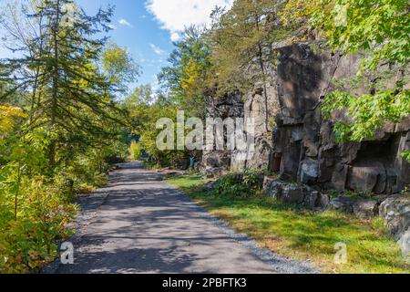 Wanderweg im Herbst entlang des Saint Croix River im Interstate State Park in Minnesota Stockfoto