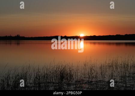 Tiefer goldener Sonnenuntergang über dem nördlichen Minnesota Lake im Spätsommer Stockfoto