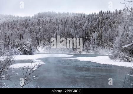 Alaska River im Winter, wenn der Dampf über den Waldkanal steigt Stockfoto