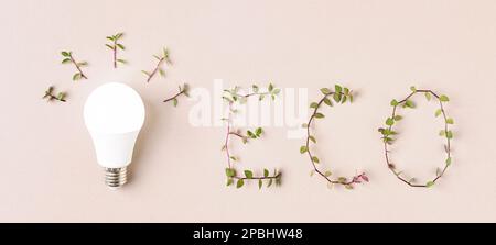 Glühbirne und ECO-Beschriftung aus grünen Blättern auf Beige. Grünes Energie-Kreativ-Symbol. Eco Lamp, umweltverträgliches Konzept. Stockfoto