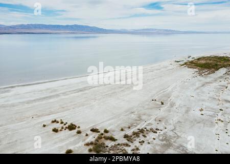 Die Salton Sea ist eines der ärgerlichsten Umweltprobleme im amerikanischen Westen. Der See schrumpft aufgrund des Klimawandels, der anhaltenden Dürre und der schrumpfenden Zuflüsse aus landwirtschaftlichen Abflüssen, die vom Colorado River gespeist werden. An der schwindenden Küste sind nicht nur salzige Schlammflächen und tote Fische, sondern auch gefährliche Chemikalien wie Arsen, Selen, Chrom und DDT sichtbar. Wenn der Wind aufweht, werden diese Schadstoffe durch die Luft übertragen und stellen ein großes Risiko für die öffentliche Gesundheit der Bewohner des Imperial Valley – und der Menschen in ganz Südkalifornien dar. Stockfoto