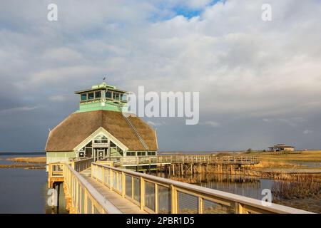 Besuchen Sie das Center Nature Center mit einem Turm zur Vogelbeobachtung am Lake Hornborga in Schweden Stockfoto