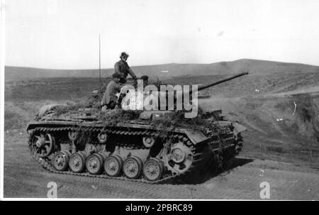 World war Two B&W Foto deutscher Panzer Mark III an der russischen Front 1942 dieser Panzer ist von der SS Wiking Division 5. Teil der Army Group South... Stockfoto