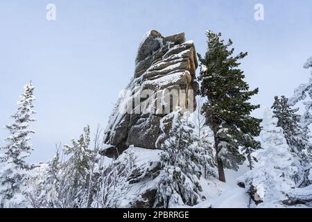 Syenit-Granitfelsen, umgeben von Bäumen im Winterwald Stockfoto