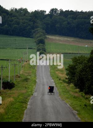 Amish-Buggy auf der Straße in Wisconsin. Stockfoto