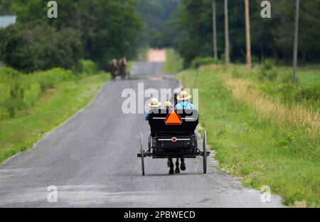 Amish-Buggy auf der Straße in Wisconsin. Stockfoto