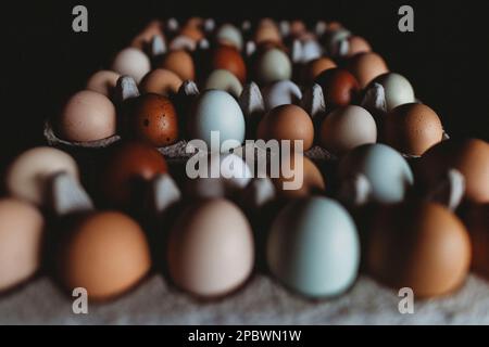 Farbenfrohe Reihen frischer Eier vom Bauernhof Stockfoto