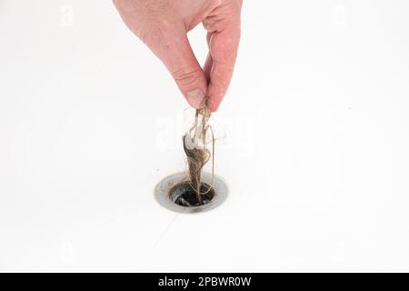 Nasses Haar, das von einer weißen männlichen Hand aus einem Wannenloch entfernt wird. Nahaufnahme, Vorderansicht. Stockfoto