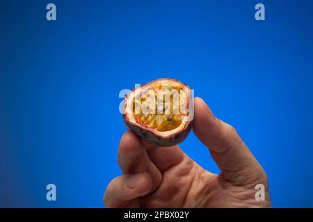 Rohe, halbierte Maracuya oder Passionsfrüchte, die von männlichen Weißen in der Hand gehalten werden. Nahaufnahme des Studios, isoliert auf blauem Hintergrund. Stockfoto