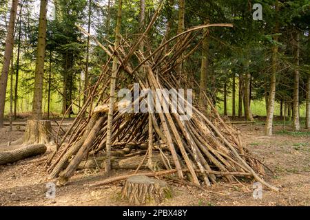 Von Menschenhand gemachtes Tipi oder Hütte in einem Wald. Nahaufnahme Weitwinkelaufnahme, tagsüber, sonnig, keine Menschen. Stockfoto