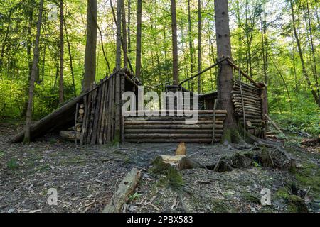 Leerer handgemachter Waldschutz aus Baumzweigen. Tagsüber, sonnig, keine Menschen. Stockfoto