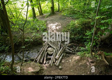 Der Mensch baute einen provisorischen Ast, der die Brücke über einen kleinen Graben in einem Wald überquerte. Sonniger Sommertag, keine Menschen. Stockfoto