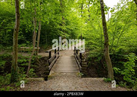Alte Holzbrücke mit Geländern über einen kleinen Fluss in einem Wald. Sonniger Sommertag, keine Menschen. Stockfoto