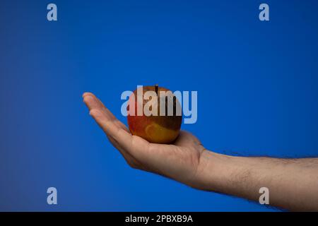 Halbfauler oder verdorbener Apfel, der von einem weißen Mann in der Hand gehalten wird. Nahaufnahme des Studios, isoliert auf blauem Hintergrund. Stockfoto