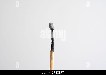 Einzelne, verbrannte Makro-Nahaufnahme, isoliert auf weißem Hintergrund, keine Personen. Stockfoto