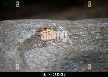 Öffentlicher Trinkwasserbrunnen, klares Wasser, das aus dem Metallhahn fließt. Teleeinstellung, geringe Tiefenschärfe, keine Menschen. Stockfoto