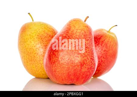 Drei gelb-rote Birnen, Nahaufnahme, auf weißem Hintergrund. Stockfoto