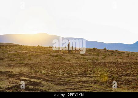 Silhouette eines Basotho-Mannes im afrikanischen Königreich Lesotho Stockfoto