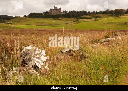 Von den Wildblumenwiesen, die an einem Sommertag in der Nähe von Mull, Schottland, zu Glengorm Castle aufblickten. UK Stockfoto