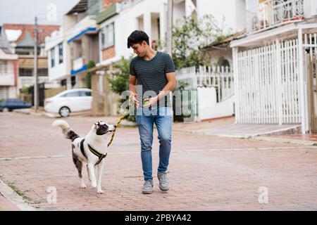 Ganzkörperbesitzer in legerer Kleidung spazieren auf einer gepflasterten Straße mit einem bezaubernden Border Collie Hund, während sie Zeit miteinander verbringen Stockfoto