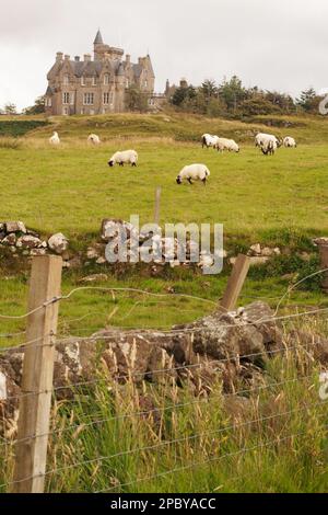 An einem Sommertag blicken Sie von den Schafwiesen mit Dystonwänden auf Glengorm Castle, Mull, Schottland. UK Stockfoto