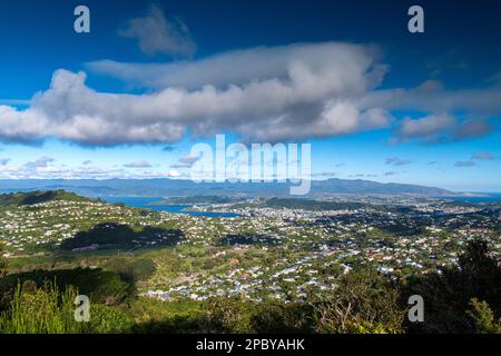 Malerischer Blick über Wellington, Neuseeland Stockfoto