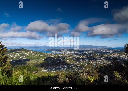 Malerischer Blick über Wellington, Neuseeland Stockfoto
