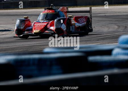 Sebring, Florida, USA - 13/03/2023, 31 GELAEL Sean (idn), HABSBURG-LOTHRINGEN Ferdinand (aut), FRIJNS Robin (nld), Team WRT, Oreca 07 - Gibson, Action während des Prologs der FIA World Endurance Championship 2023, vom 11. Bis 12. März 2023 auf dem Sebring International Raceway, Florida USA - Photo Julien Delfosse / DPPI Stockfoto