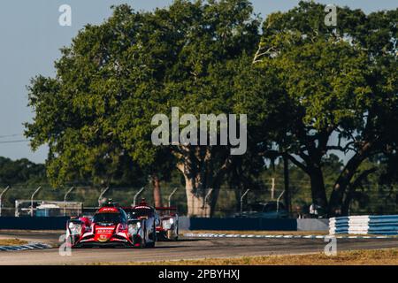 Sebring, Florida, USA - 13/03/2023, 31 GELAEL Sean (idn), HABSBURG-LOTHRINGEN Ferdinand (aut), FRIJNS Robin (nld), Team WRT, Oreca 07 - Gibson, Action während des Prologs der FIA World Endurance Championship 2023, vom 11. Bis 12. März 2023 auf dem Sebring International Raceway, Florida USA – Photo Thomas Fenêtre / DPPI Stockfoto