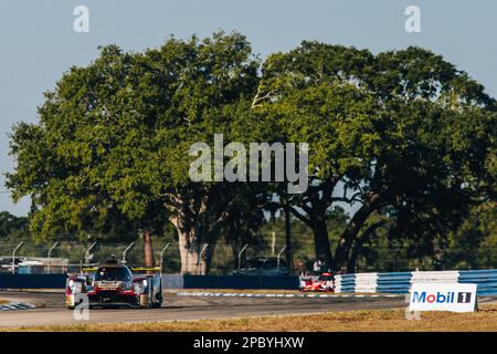 48 HERTZ TEAM JOTA GBR Oreca 07 – Gibson LMP2 of David Beckmann, Yifei Ye,  William Stevens. WEC 2023 Sebring Prologue [4000x2666] : r/WECPorn