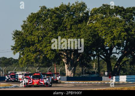 Sebring, Florida, USA - 13/03/2023, 31 GELAEL Sean (idn), HABSBURG-LOTHRINGEN Ferdinand (aut), FRIJNS Robin (nld), Team WRT, Oreca 07 - Gibson, Action während des Prologs der FIA World Endurance Championship 2023, vom 11. Bis 12. März 2023 auf dem Sebring International Raceway, Florida USA – Photo Thomas Fenêtre / DPPI Stockfoto