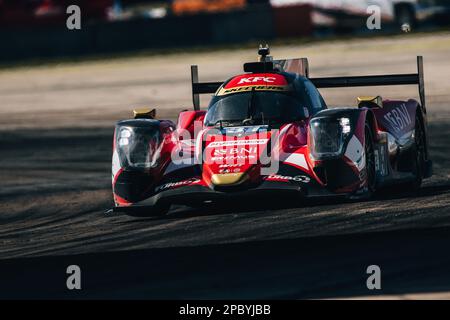 Sebring, Florida, USA - 13/03/2023, 31 GELAEL Sean (idn), HABSBURG-LOTHRINGEN Ferdinand (aut), FRIJNS Robin (nld), Team WRT, Oreca 07 - Gibson, Action während des Prologs der FIA World Endurance Championship 2023, vom 11. Bis 12. März 2023 auf dem Sebring International Raceway, Florida USA – Photo Thomas Fenêtre / DPPI Stockfoto